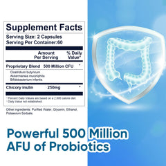 Illustration of gut health and digestion benefits