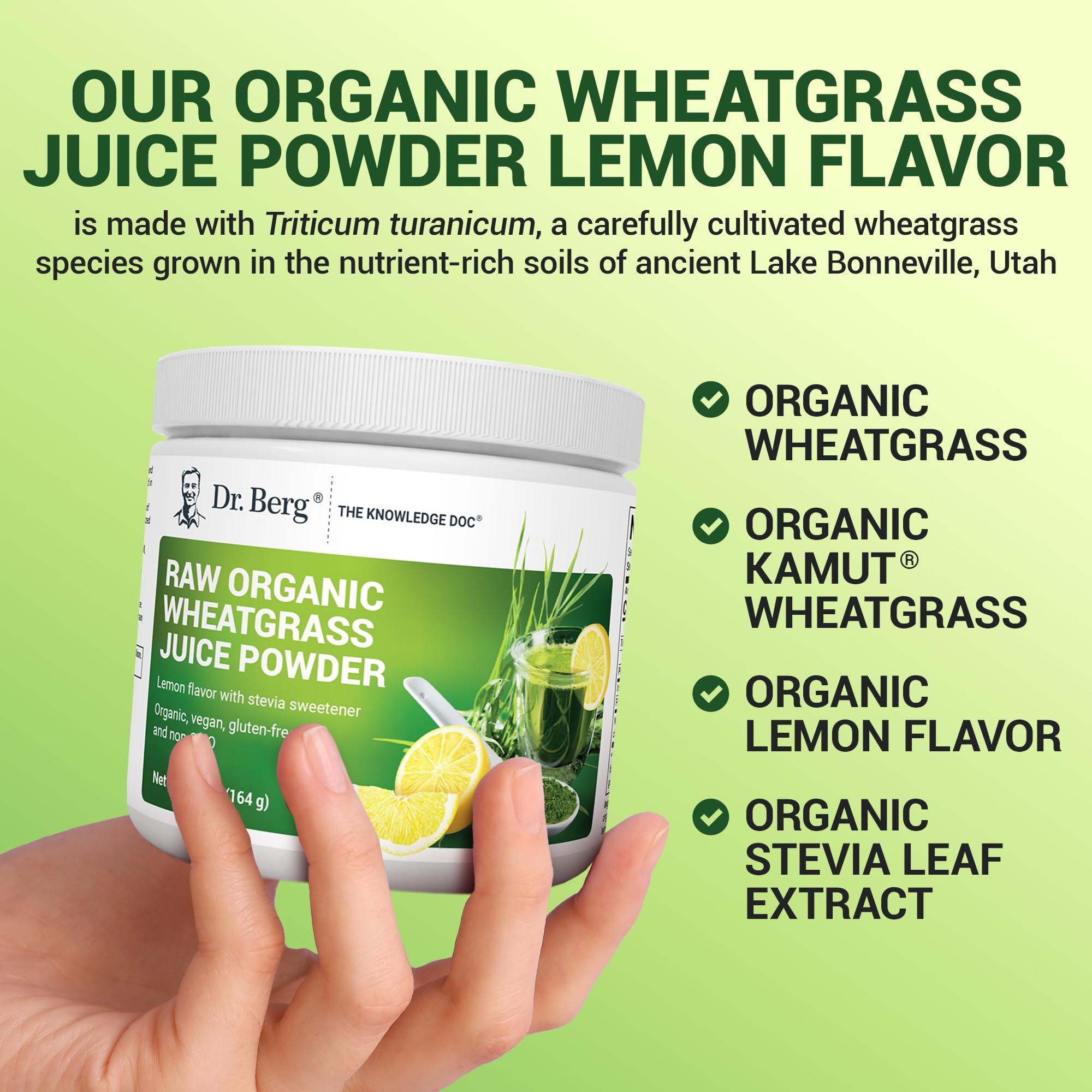 Smoothie with Dr. Berg Green Powder for a vibrant boost