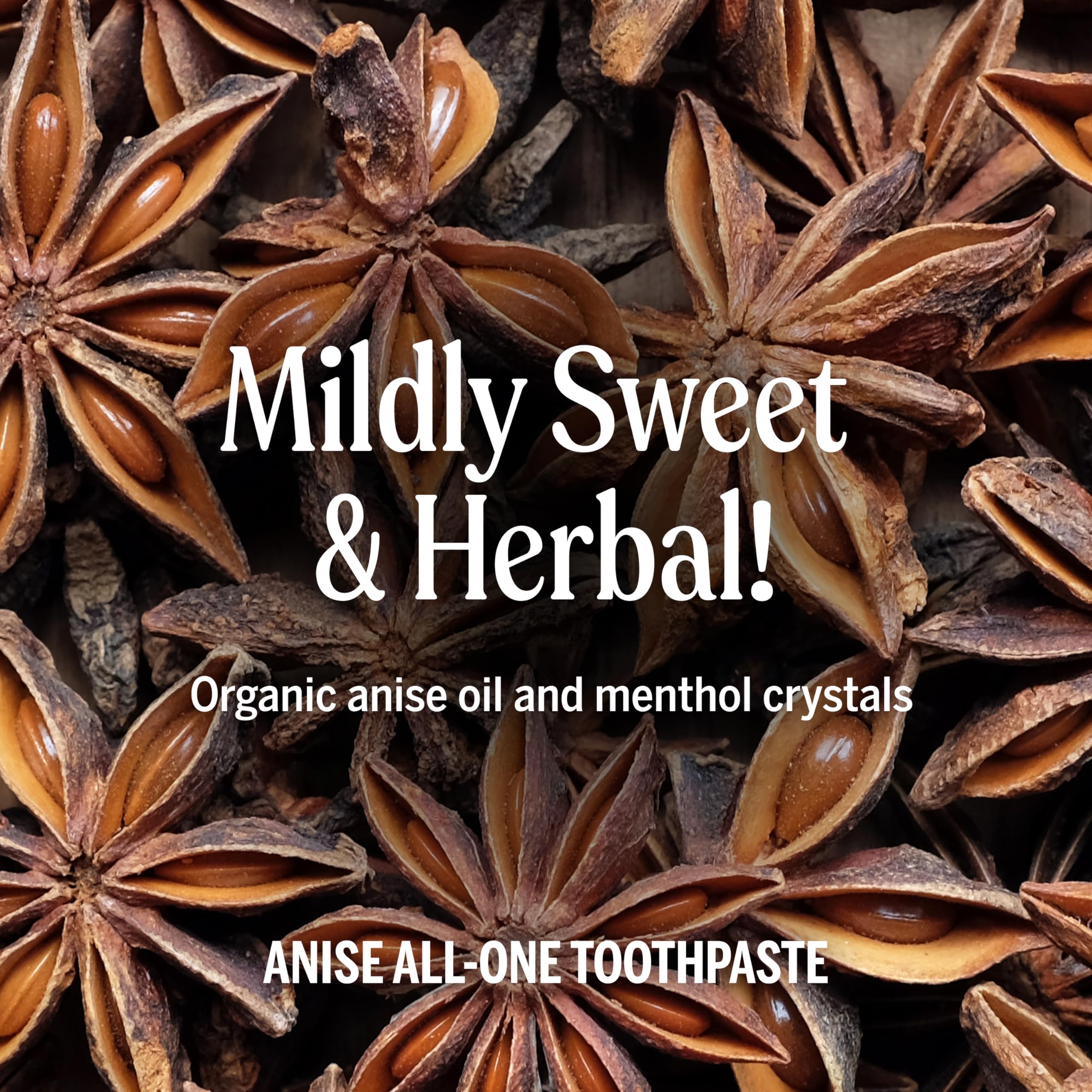 SLS-free formula indicator on Dr. Bronner’s All-One Toothpaste Anise flavor