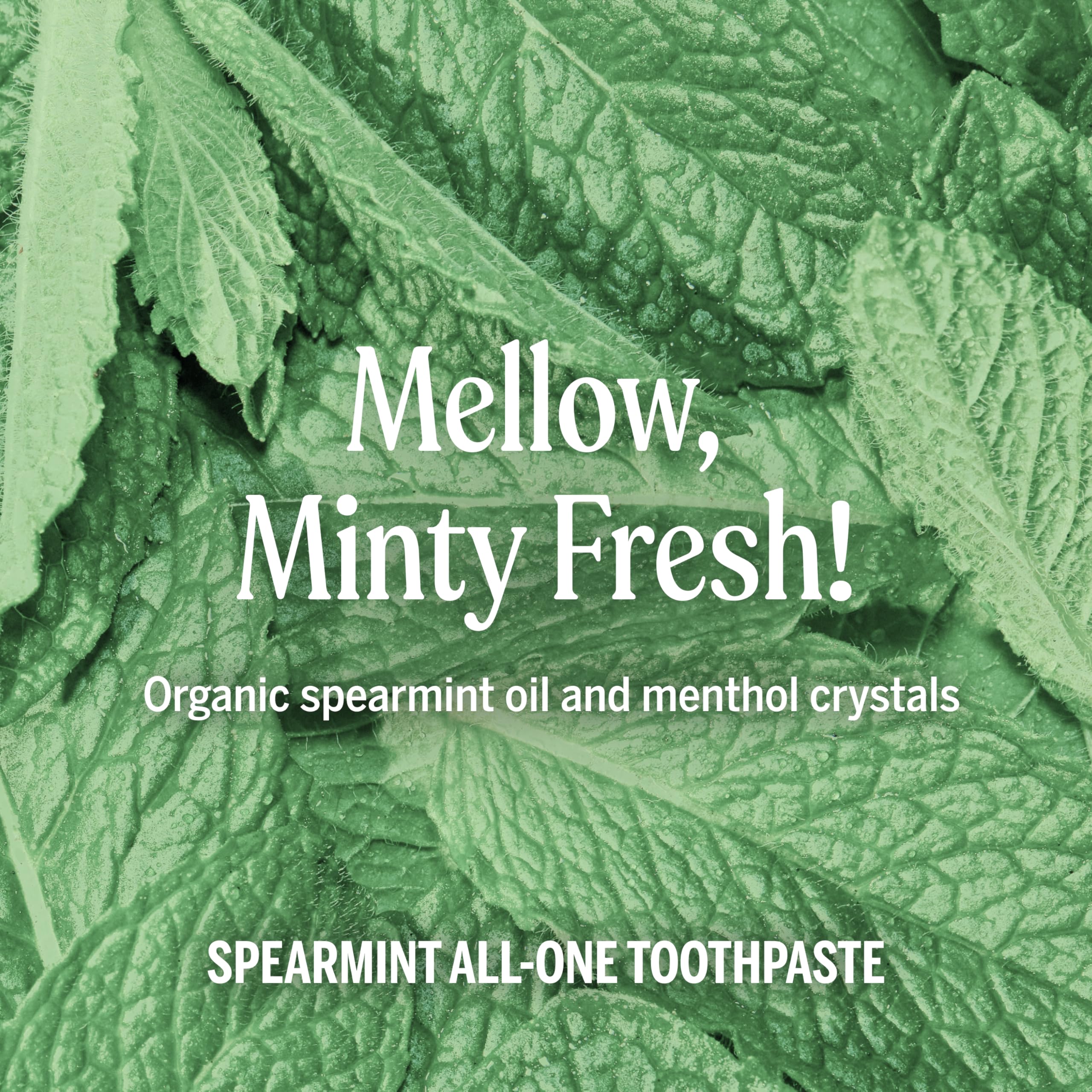 Three tubes of Dr. Bronner’s All-One Toothpaste Spearmint in a pack