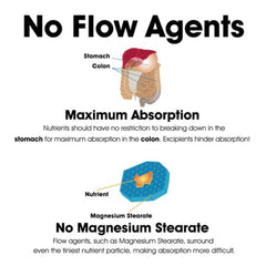 Supplement facts panel on Dr Clark Store Cysteine bottle
