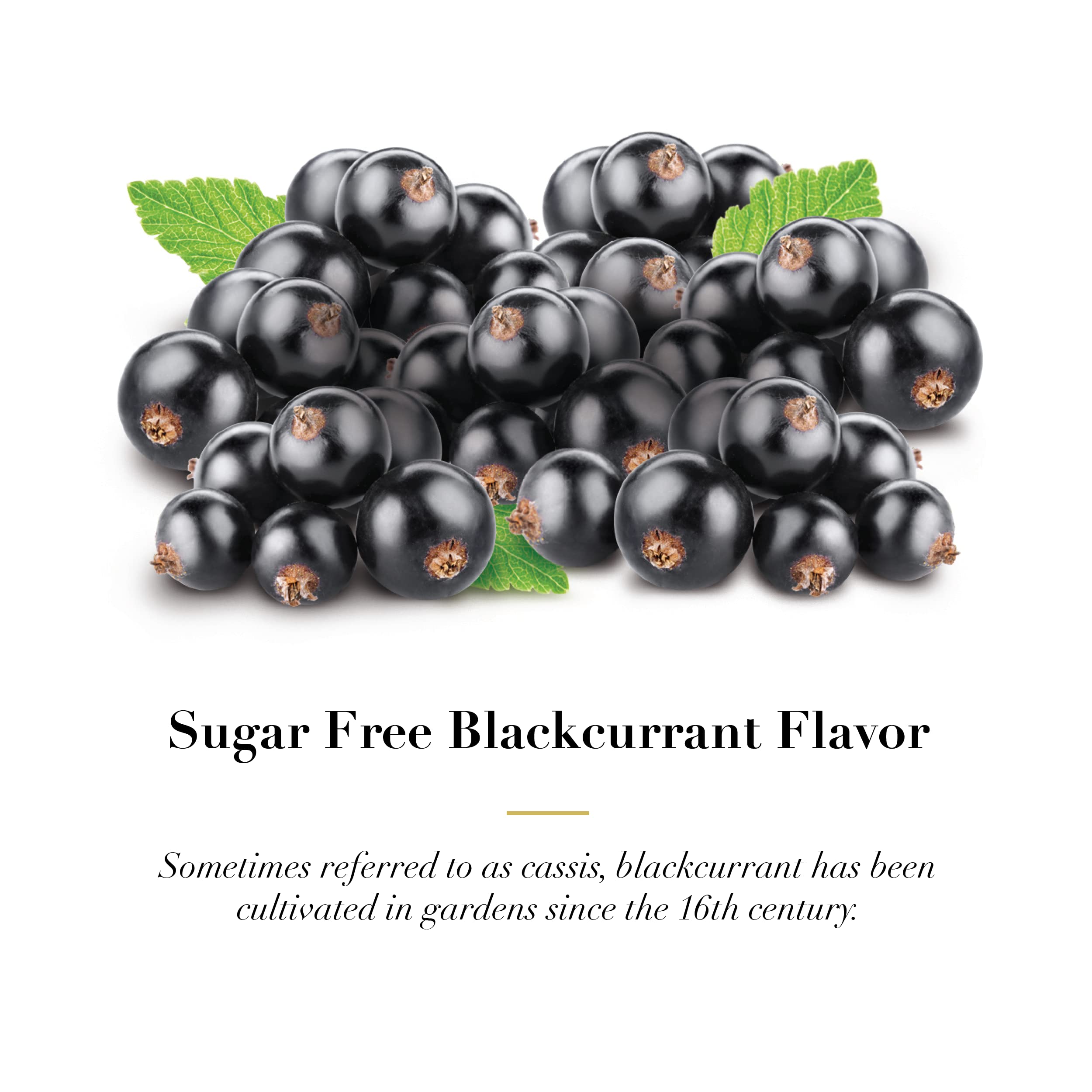 Close-up of blackcurrant pastilles packaging