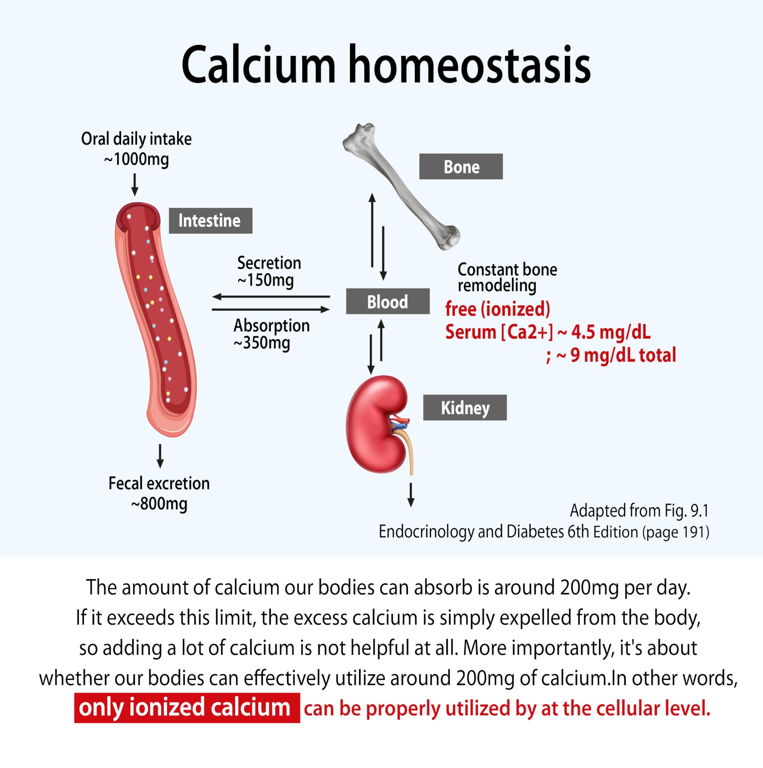 Ingredient list: Calcium gluconate, Magnesium carbonate, Apple cider vinegar