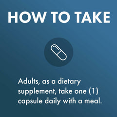 Digestive health concept graphic