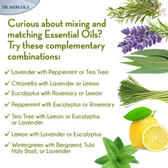 Dr. Mercola hand-crafted diffuser reflects premium quality and natural materials.