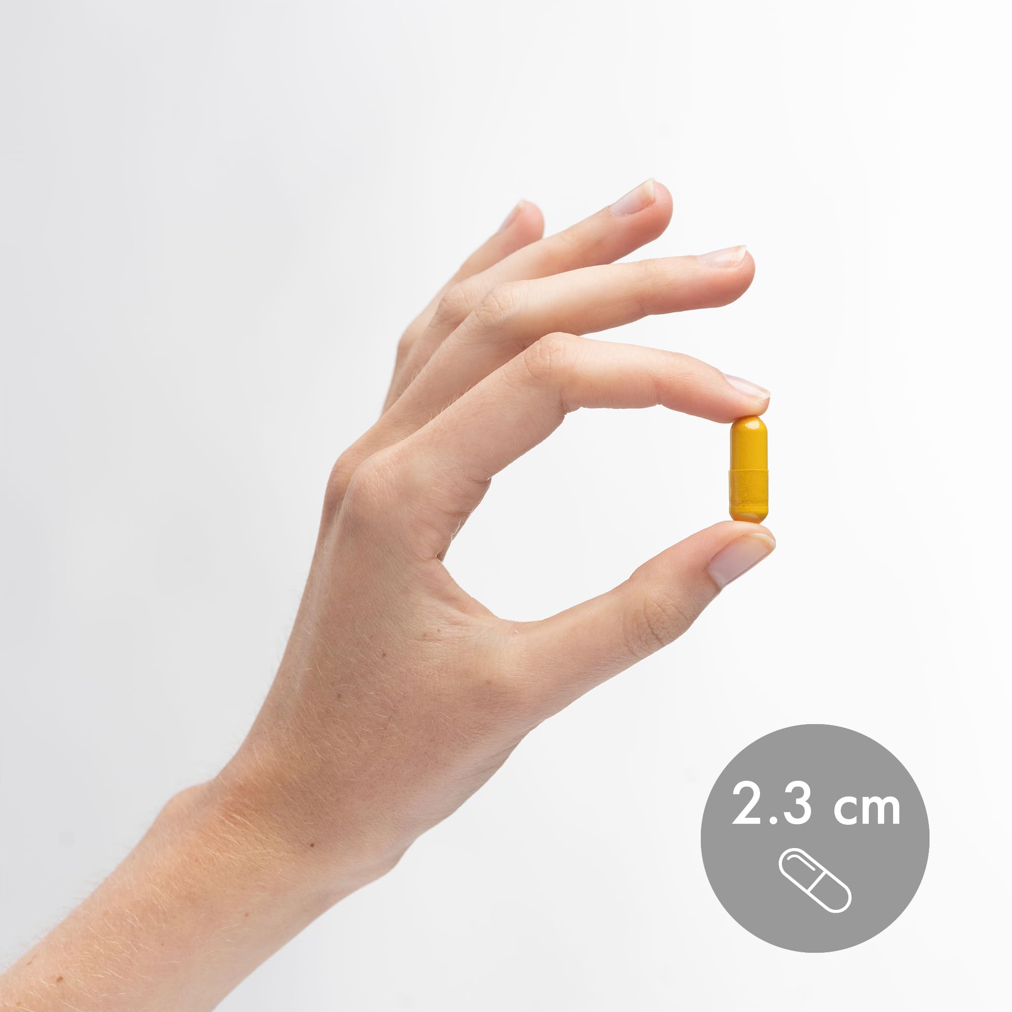 Front view of Dr. Mercola Fermented Turmeric bottle