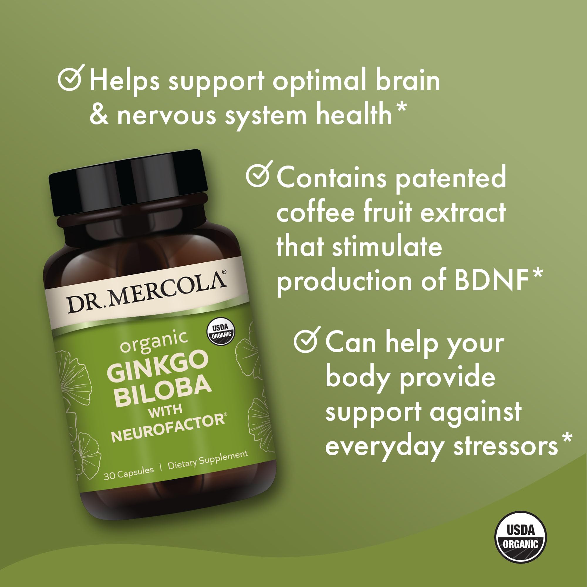 Illustration of NeuroFactor coffee fruit extract from sun-dried Coffea arabica cherries