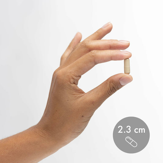 Close-up of Lumbrokinase capsules showing delayed-release design
