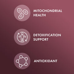 Dr. Mercola NAC with Milk Thistle label details showing ingredient quality