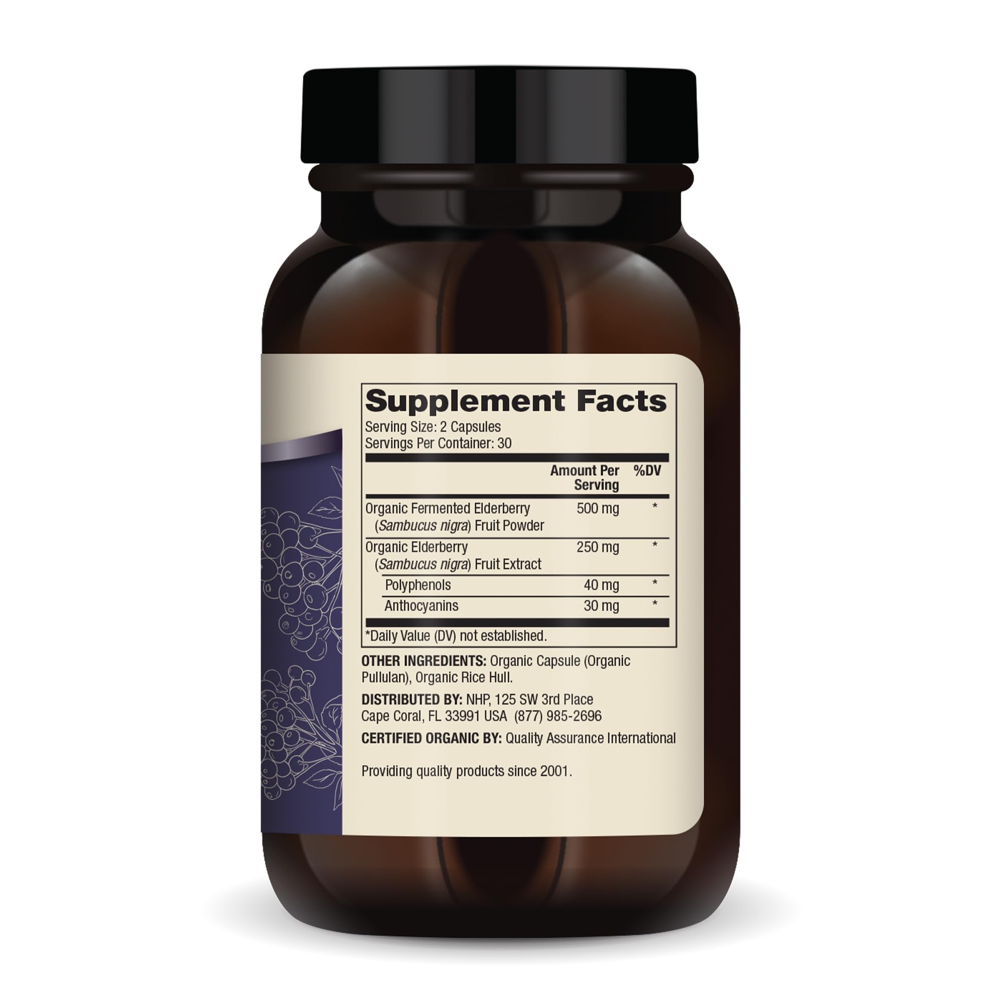 Close-up of organic elderberries used in the supplement