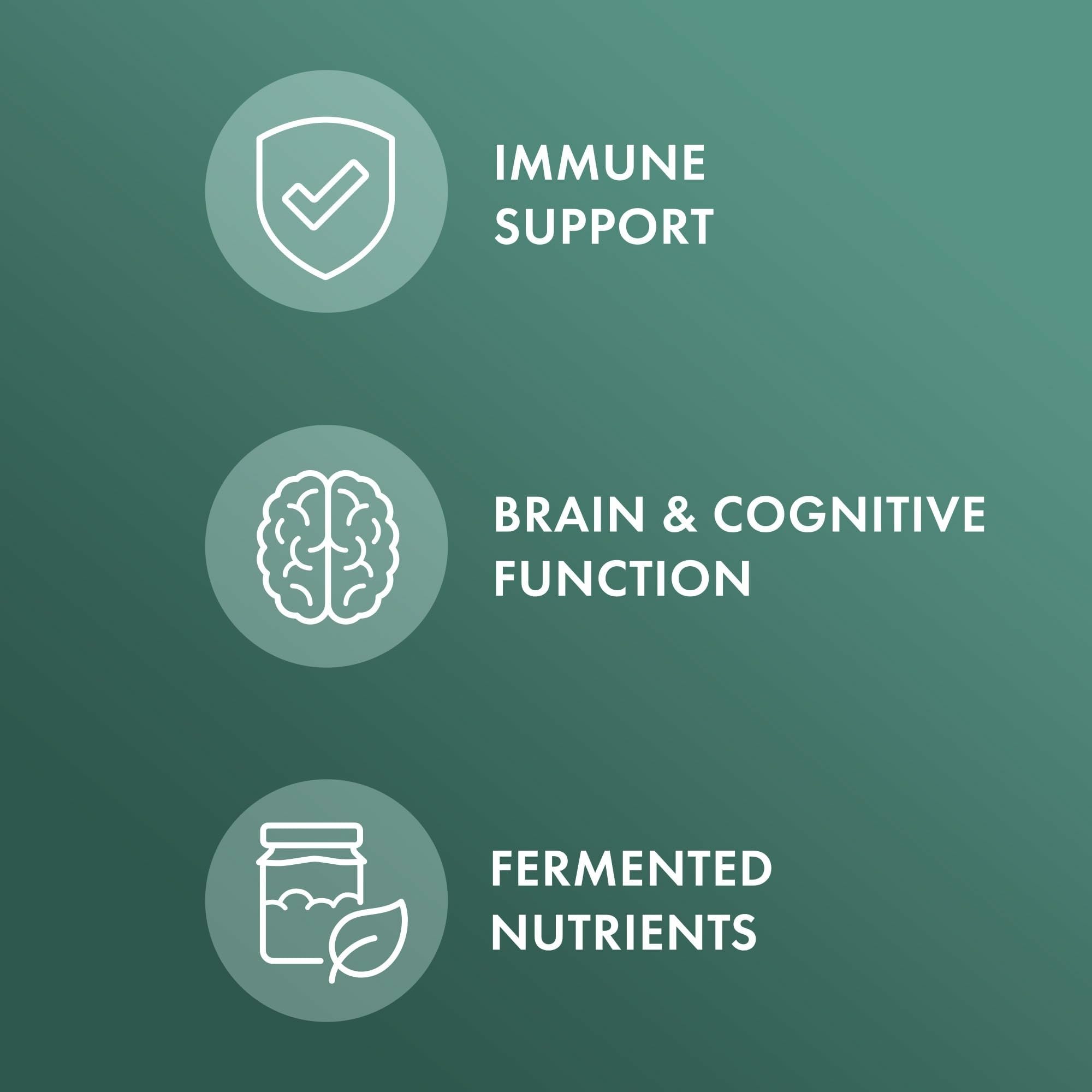 Fermented mushrooms and oats in the Solid-State Fermentation process
