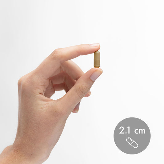 Close-up of Organic Reishi Mushroom Extract capsules