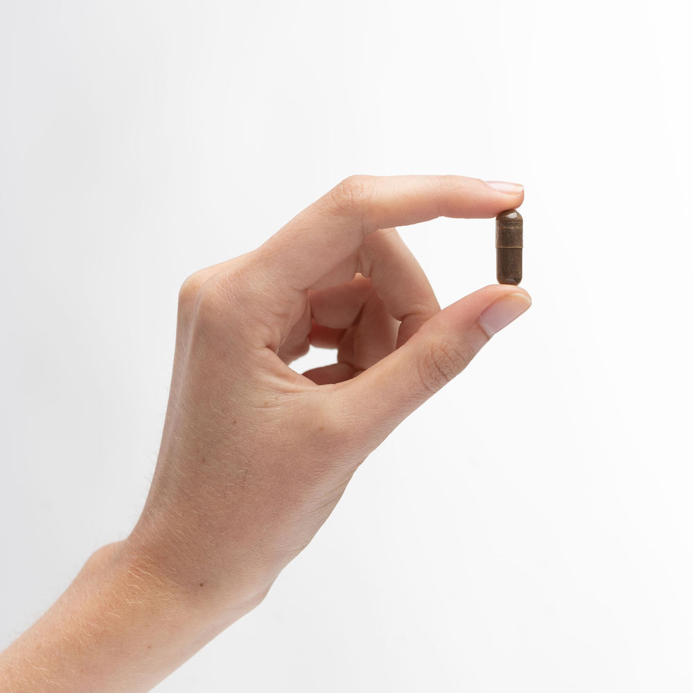 90-capsule bottle on white background