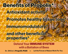 Flax oil and omega-3 fatty acids component