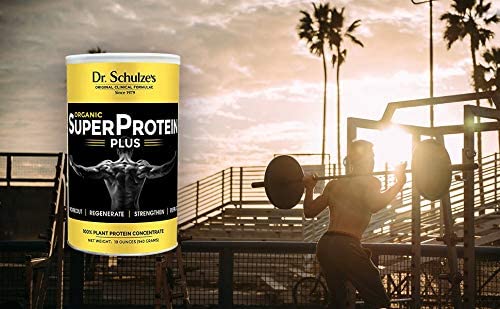 Plant-based protein powder with B-12 and spirulina
