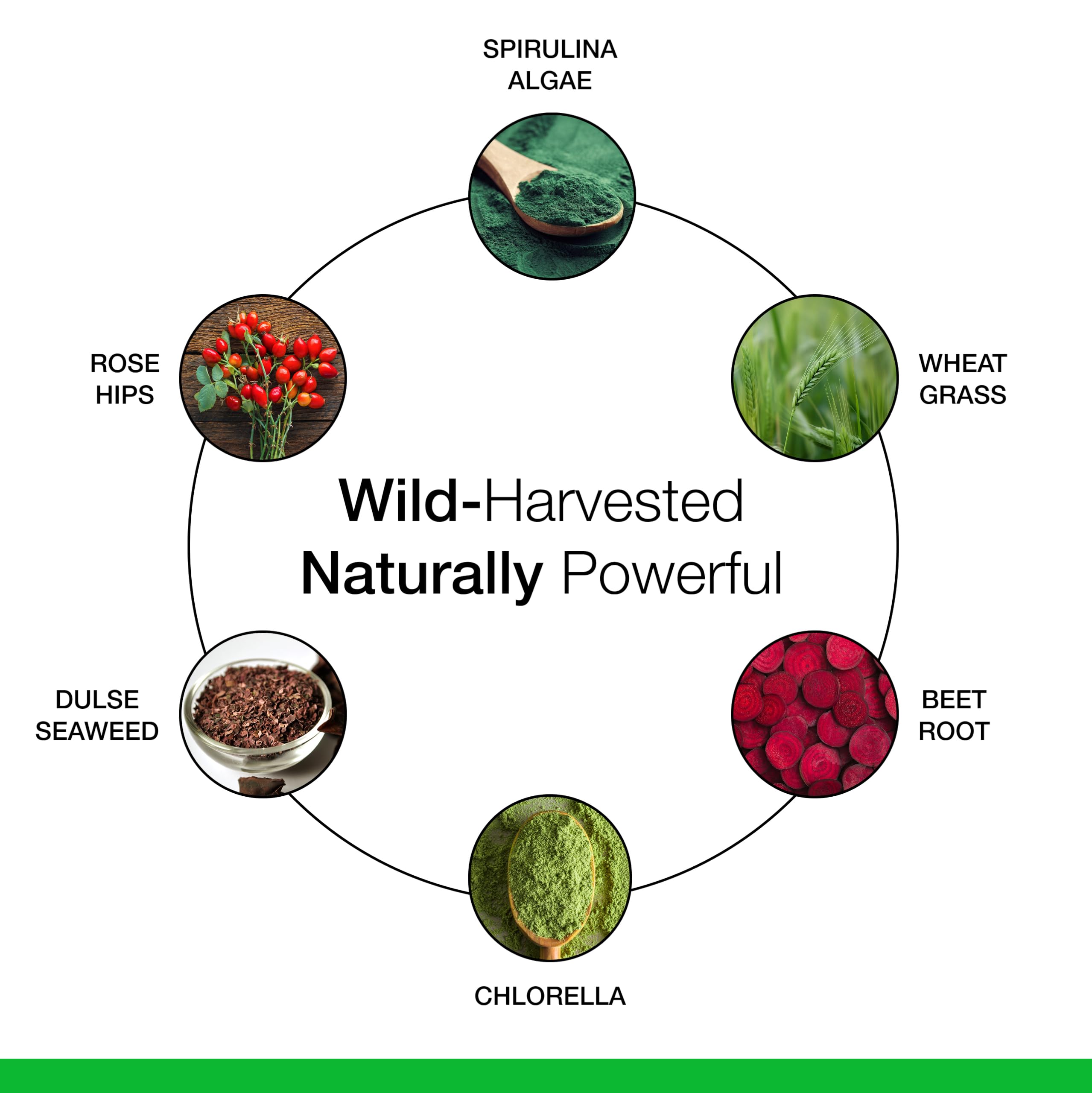 Dr. Schulze's SuperFood Plus ingredients spread highlighting greens and nutrients.