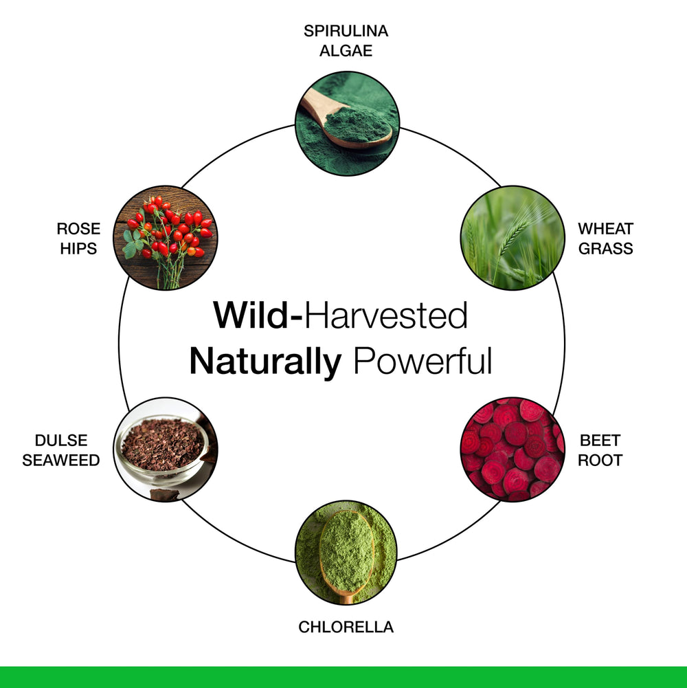 Dr. Schulze's SuperFood Plus ingredients spread highlighting greens and nutrients.