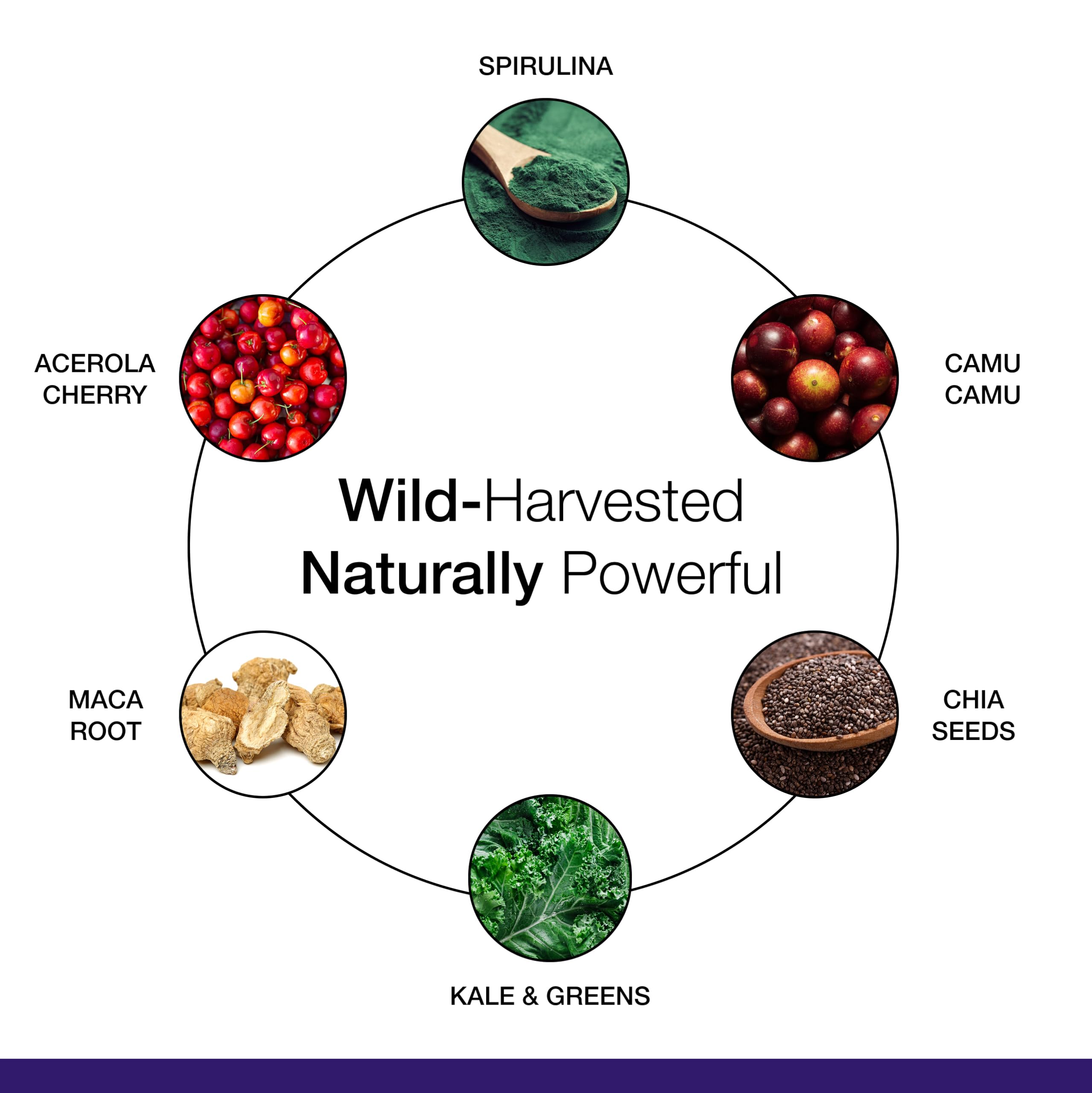 Vegan, non-GMO, gluten-free labels on Dr. Schulze's Ultra packaging.