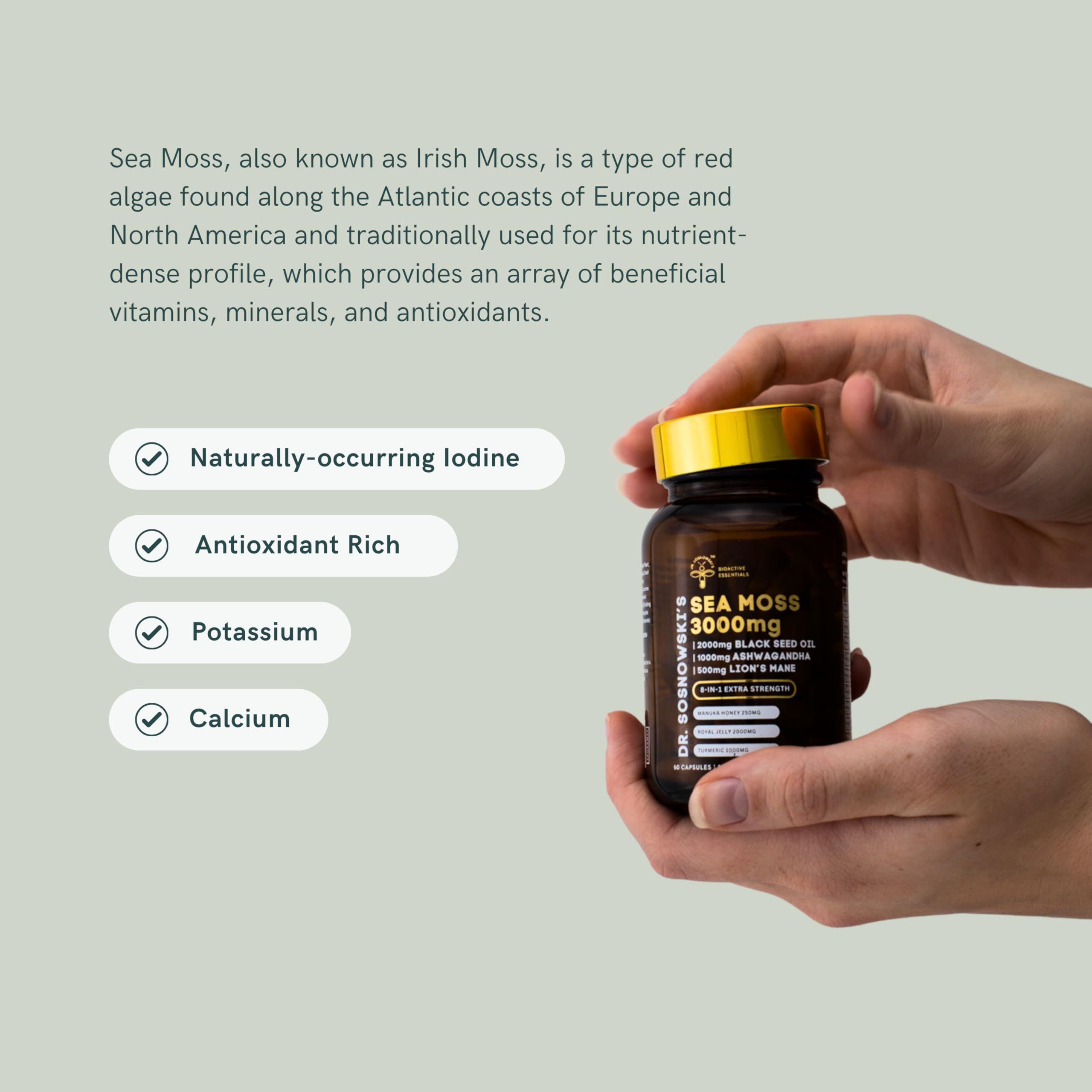 Bee Propolis and Royal Jelly components shown