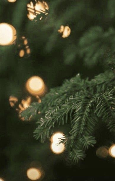Dr. Vranjes Albero Di Natale winter air aroma ideal for entryways