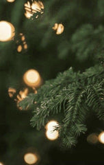 Dr. Vranjes Albero Di Natale winter air aroma ideal for entryways