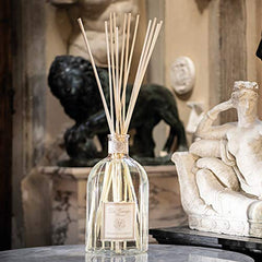 Aria by DrVranjes sticks ready for use to release fragrance throughout a room