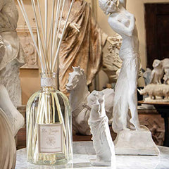Dr. Vranjes Magnolia Orchidea diffuser with reeds implies easy setup and immediate ambiance.