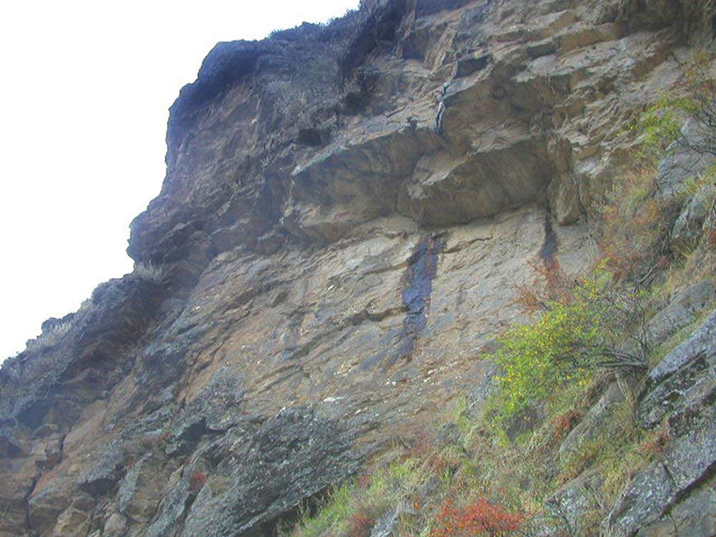 High altitude Himalayan source of Shilajit