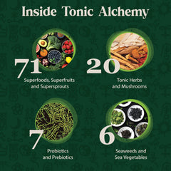 Dragon Herbs Tonic Alchemy glass of green juice highlighting versatile nutrition for the day