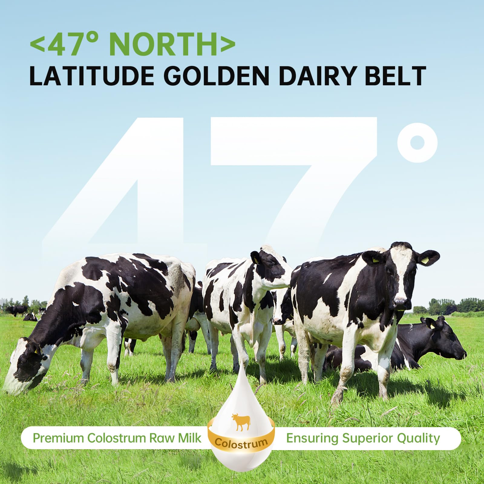 Grass-fed bovine collagen peptides source illustration