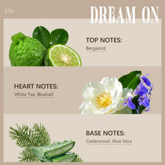 Dream On diffuser oil packaging
