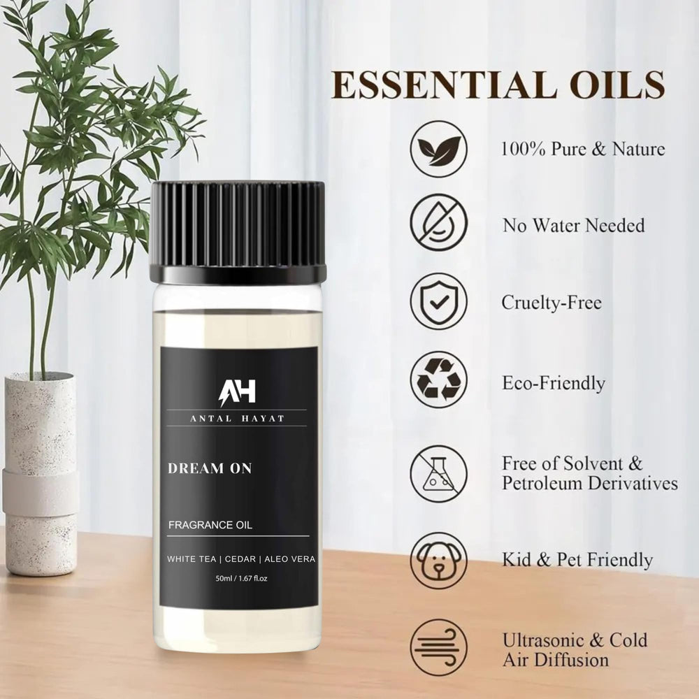 Top notes of Dream On: White Tea, Aloe Vera, Ginger