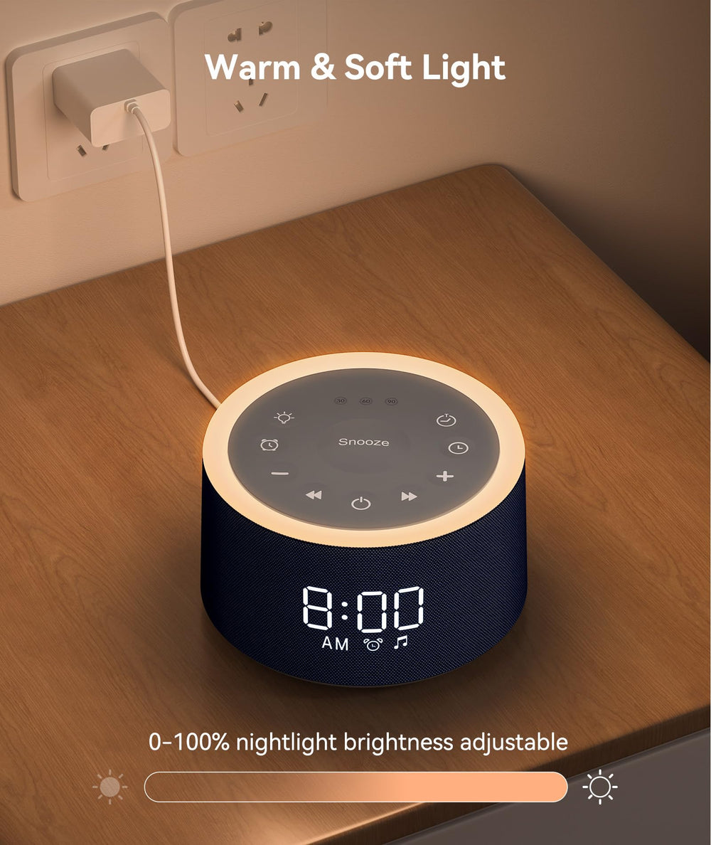 Dreamegg D1+ blue colorway appeals to modern bedrooms and complements decor.