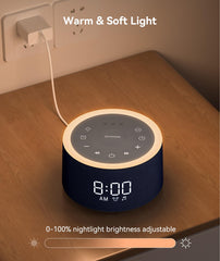 Dreamegg D1+ blue colorway appeals to modern bedrooms and complements decor.
