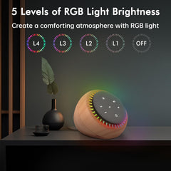 DreamSky control panel enables easy 30-volume adjustments for various settings.