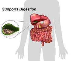 DrFormulas 18 Digestive Enzymes capsule close-up