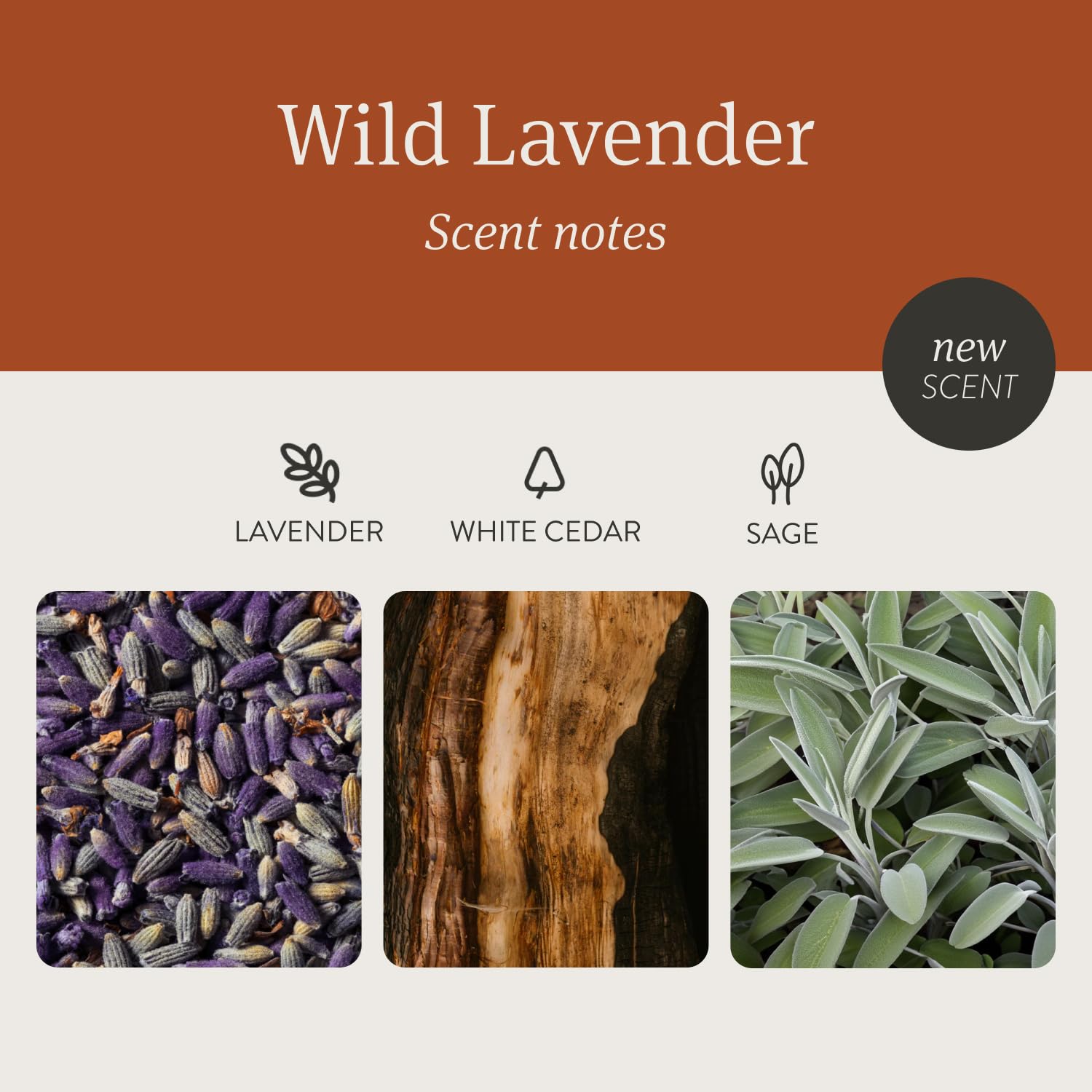 Drift Wild Lavender candle on a neutral surface