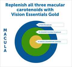 Packaging tray of Vision Essentials Gold for daily eye support.
