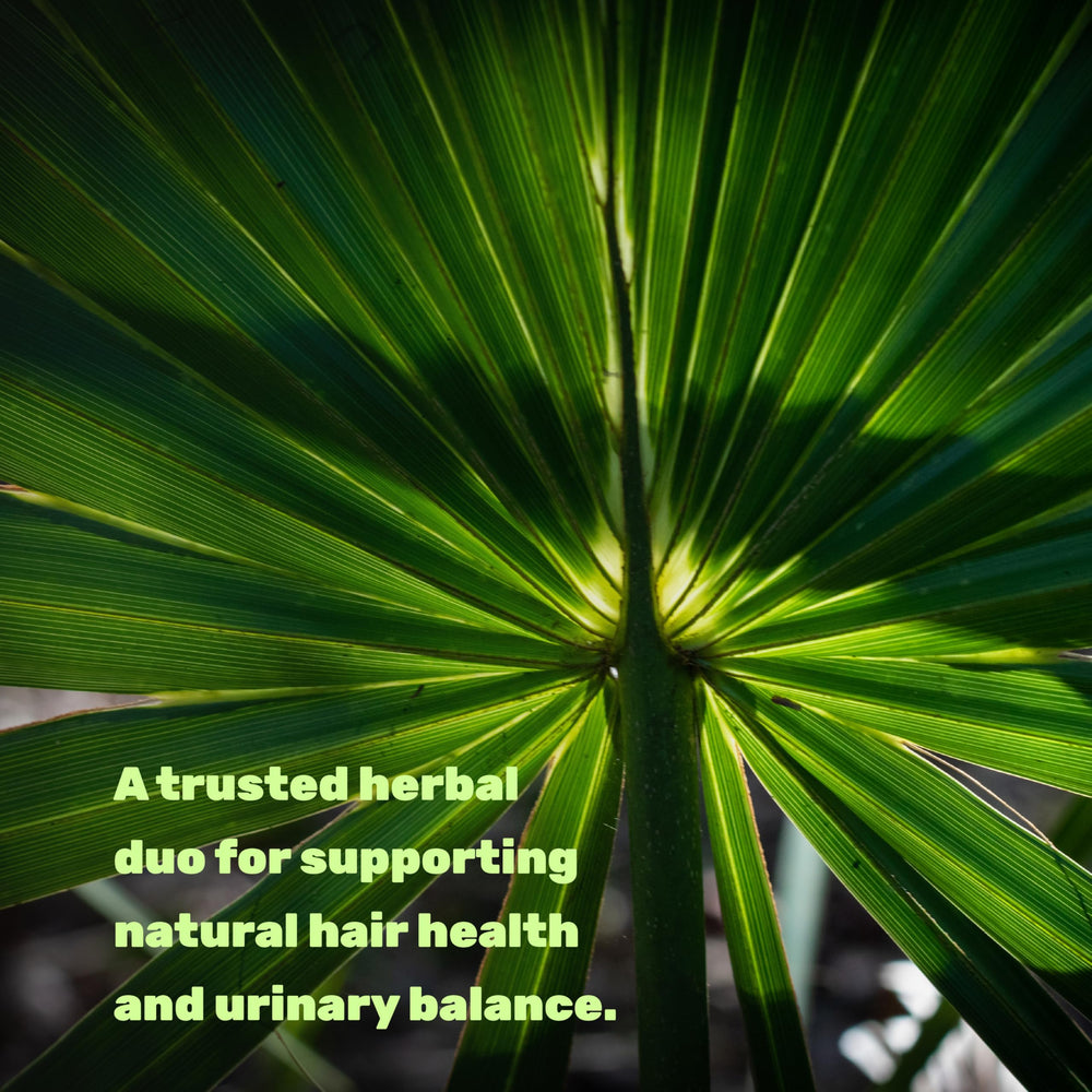Graphic highlighting dual-action prostate health and hair support