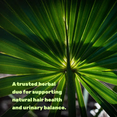 Graphic highlighting dual-action prostate health and hair support