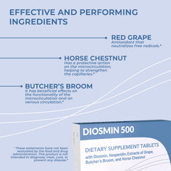Butcher's Broom plant illustration