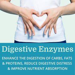 Duodenum powder ingredient used for digestion support
