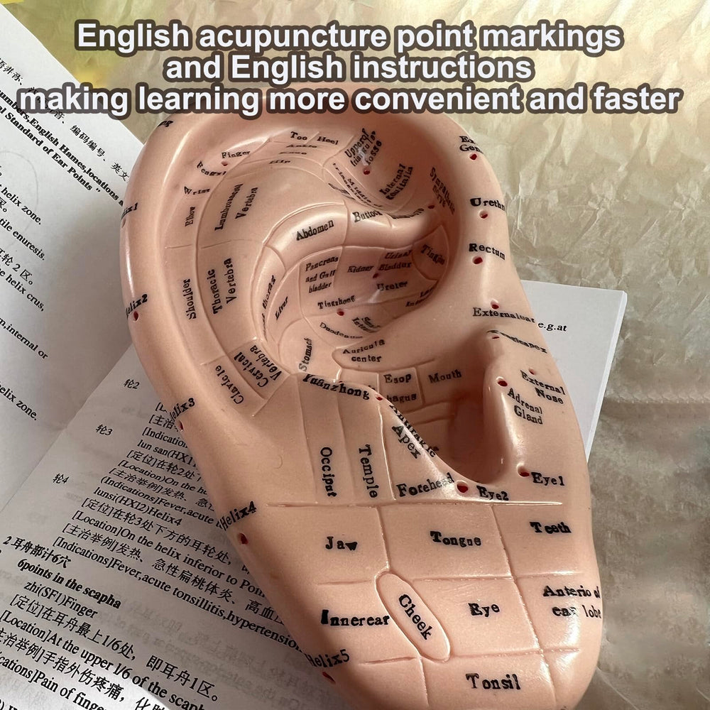 High-quality ear acupoint learning model for training