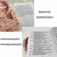 Demonstration of acupuncture points on ear model