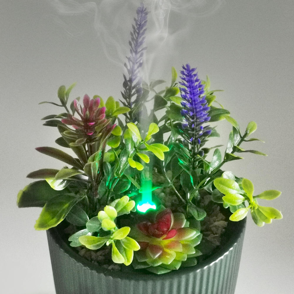 Close-up of 100 ml essential oil diffuser with succulent