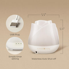 Whisper-quiet ultrasonic mist from diffuser in operation