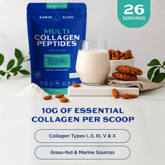 Infographic showing collagen types I, II, III, V and X from four sources