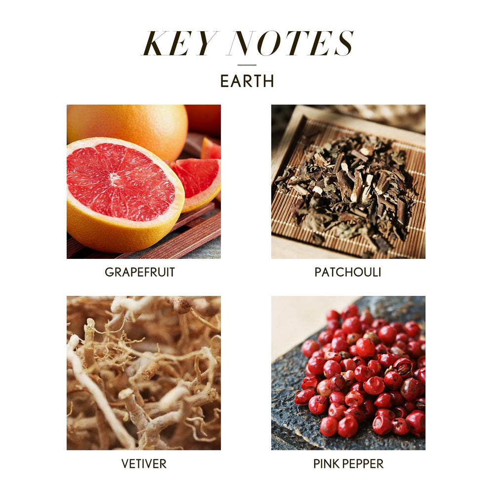 Close-up of patchouli, vetiver and pink pepper notes in Earth oil