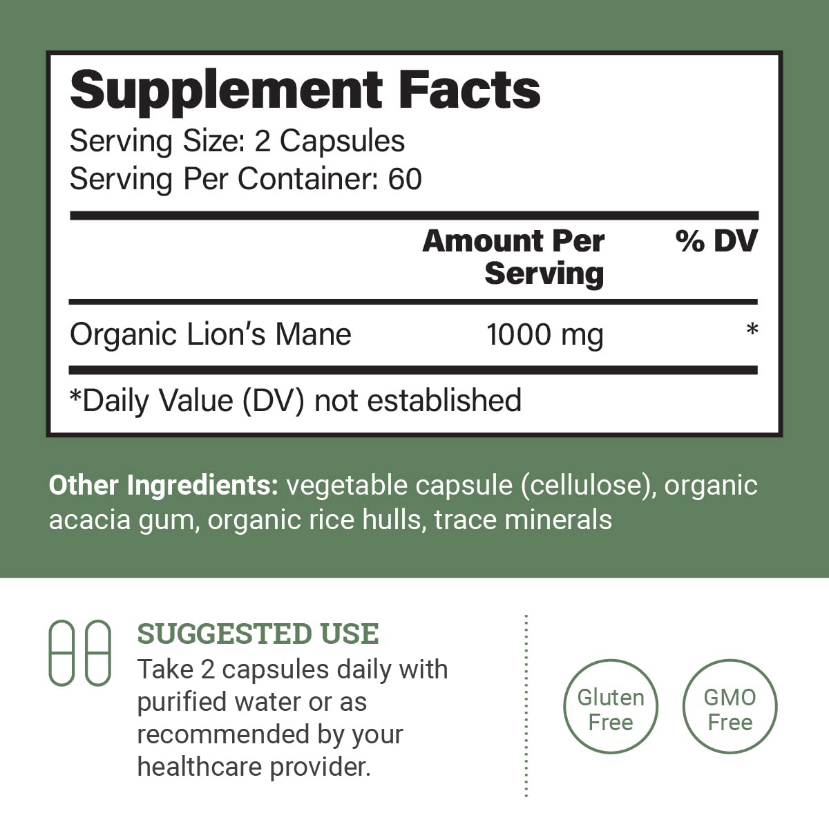 Close-up of Lions Mane mushroom extract