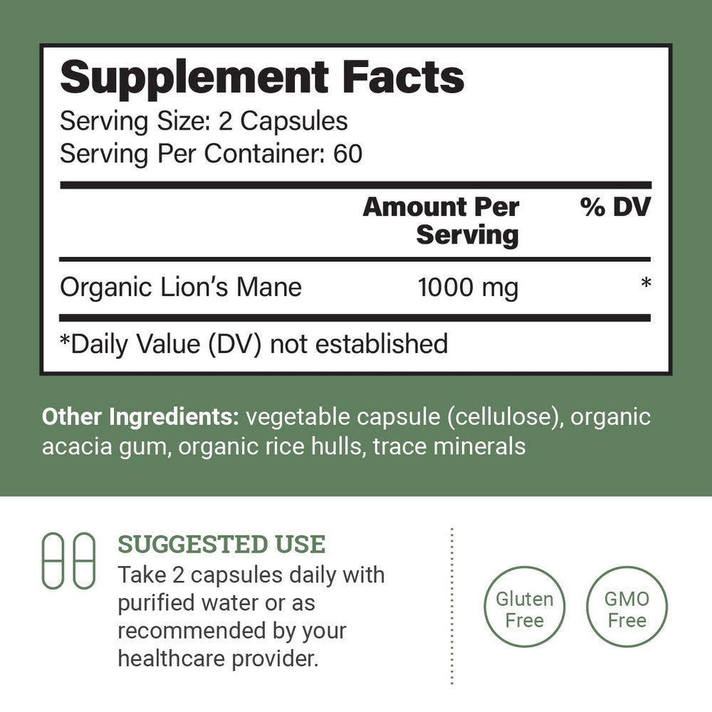 Close-up of Lions Mane mushroom extract